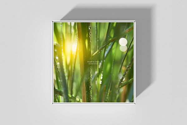 packaging designer